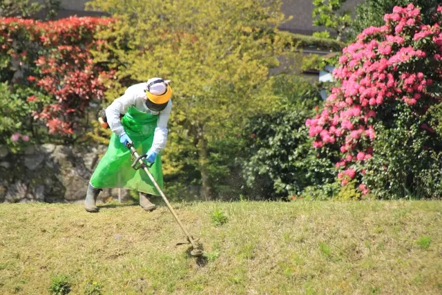 庭や空き地の草刈りを丸投げ